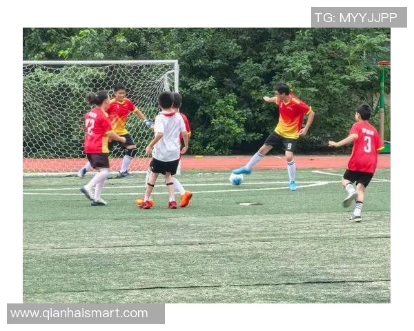 西安足球队战术解析与未来发展探讨聚焦足球的魅力与挑战